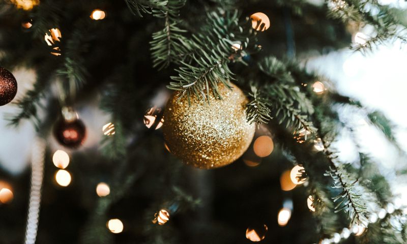 Festa de Natal 2024